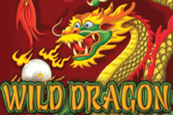 WILD DRAGON