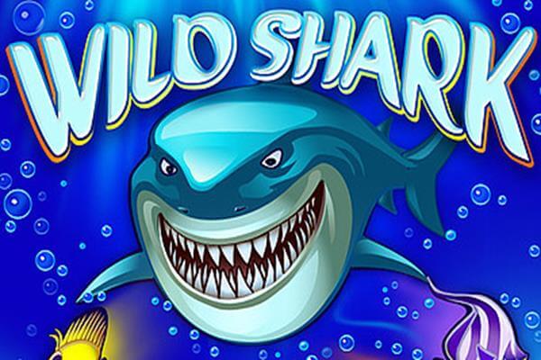 WILD SHARK